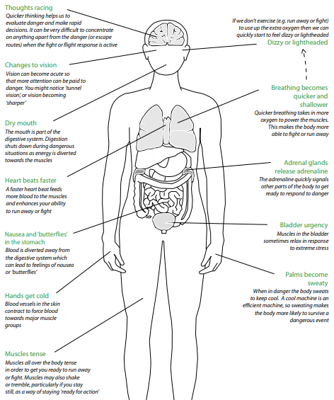 Why do panic attacks occur? Brighter Life Therapy
